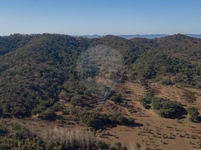 Quintas e casas rústicas T0 em Colos