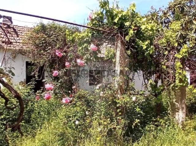 Quintas e casas rústicas T0 em Coruche
