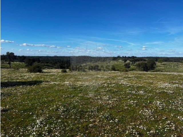 Quintas e casas rústicas T0 em Cabrela
