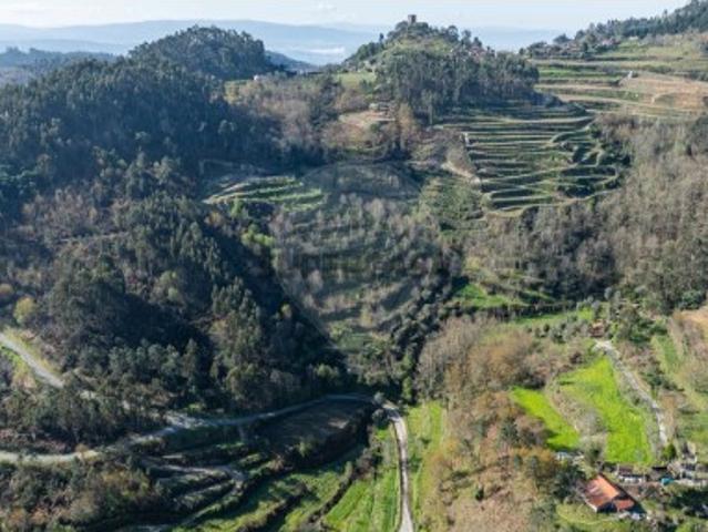 Quintas e casas rústicas T0 em Carvalho e Basto Santa Tecla