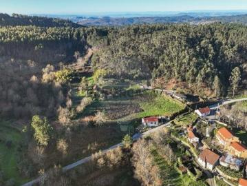 Quintas e casas rústicas T0 em Carvalho e Basto Santa Tecla