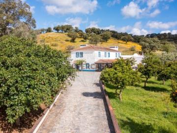 Quintas e casas rústicas T0 em Ciladas
