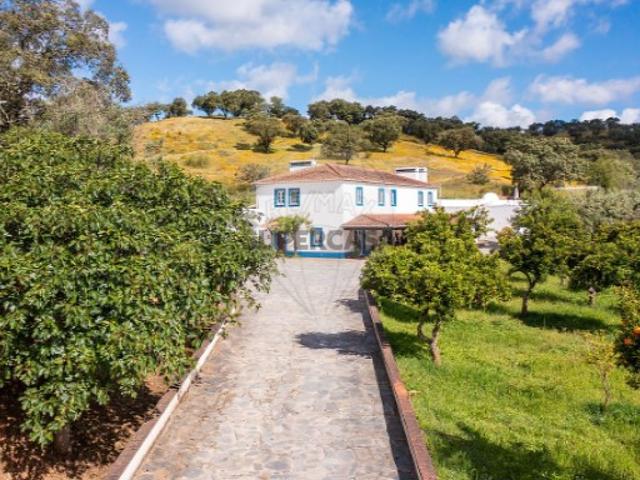 Quintas e casas rústicas T0 em Ciladas