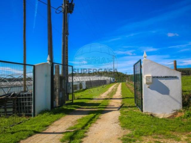 Quintas e casas rústicas T0 em Aldeia Galega da Merceana e Aldeia Gavinha