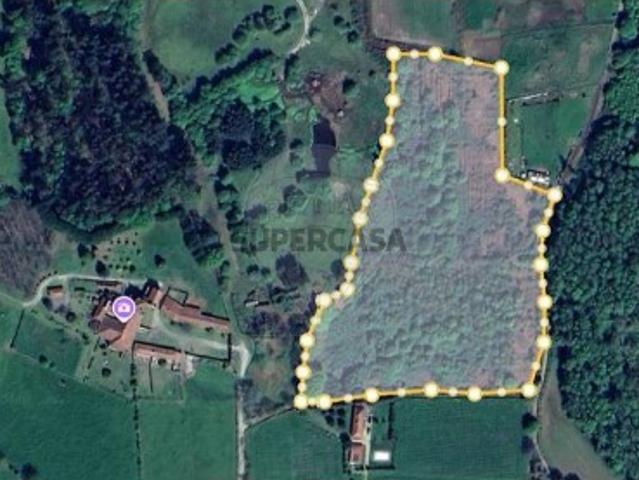Quintas e casas rústicas T0 em Arca e Ponte de Lima
