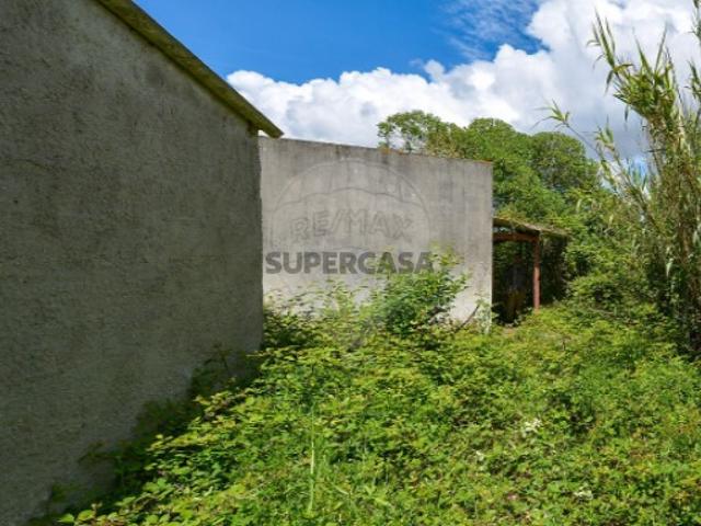 Quintas e casas rústicas T0 em Atouguia da Baleia