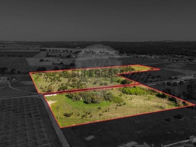 Quintas e casas rústicas T0 em São Miguel de Machede