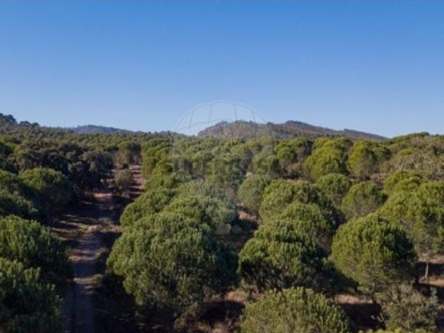 Quintas e casas rústicas T0 em São Luís