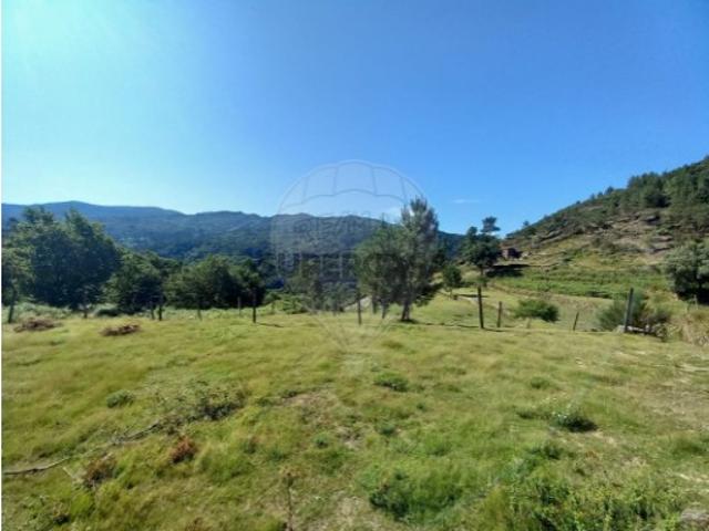 Quintas e casas rústicas T0 em Soajo