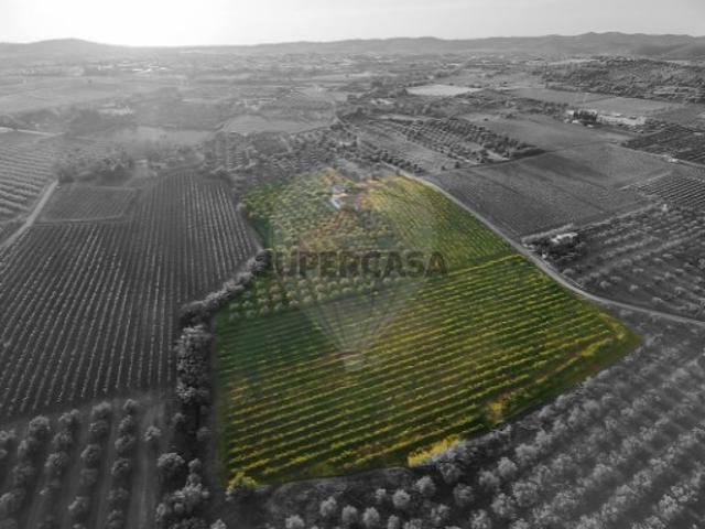 Quintas e casas rústicas T0 em Vidigueira