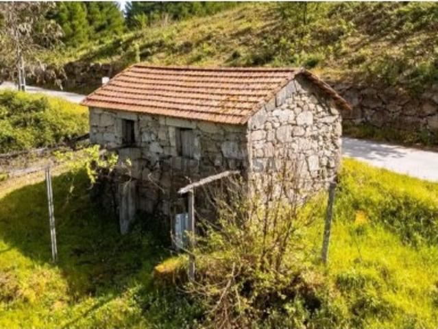 Quintas e casas rústicas T1 em Cinfães