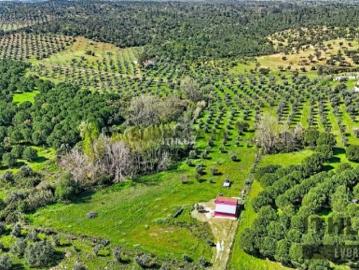 Quintas e casas rústicas T1 em Amieira