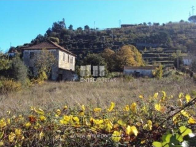 Quintas e casas rústicas T1 em Freigil e Miomães
