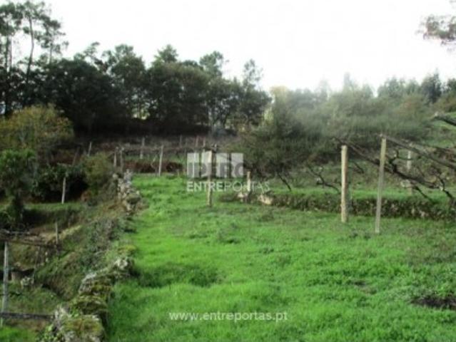 Quintas e casas rústicas T1 em Oldrões
