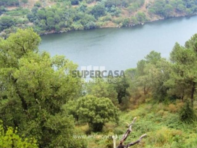 Quintas e casas rústicas T1 em Oliveira