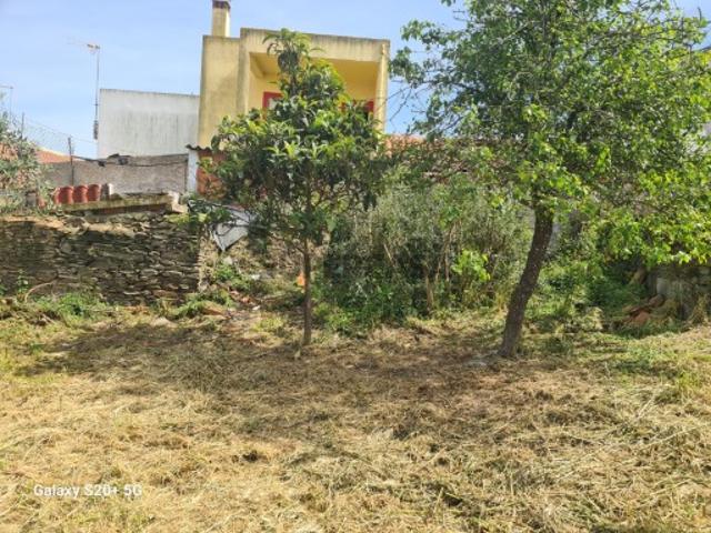 Quintas e casas rústicas T1 em Ourique