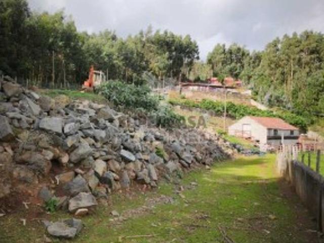 Quintas e casas rústicas T2 em Camacha