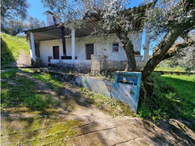 Quintas e casas rústicas T2 em Montargil
