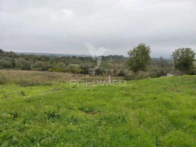 Quintas e casas rústicas T2 em São Francisco da Serra
