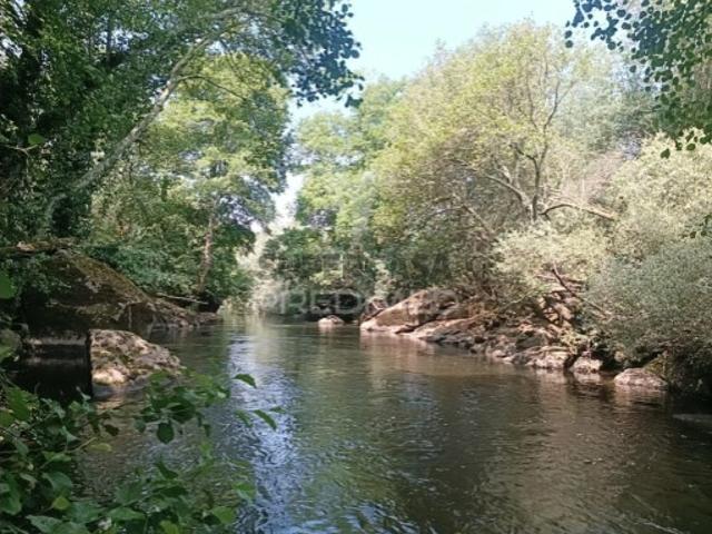Quintas e casas rústicas T2 em São Pedro e Santa Maria e Vila Boa do Mondego