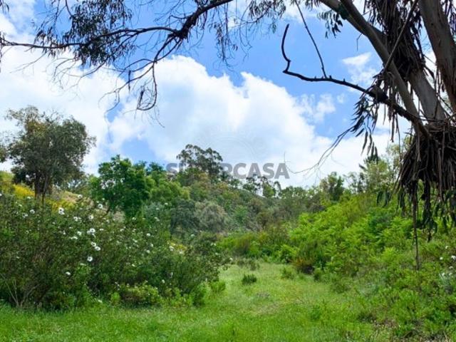 Quintas e casas rústicas T2 em São Salvador e Santa Maria