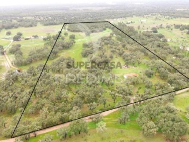 Quintas e casas rústicas T3 em São Teotónio