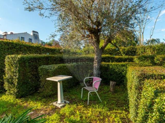 Quintas e casas rústicas T3 em Santiago do Escoural