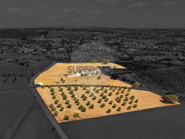 Quintas e casas rústicas T3 em Santiago Maior