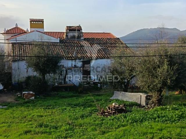 Quintas e casas rústicas T3 em Ribeira de Nisa e Carreiras