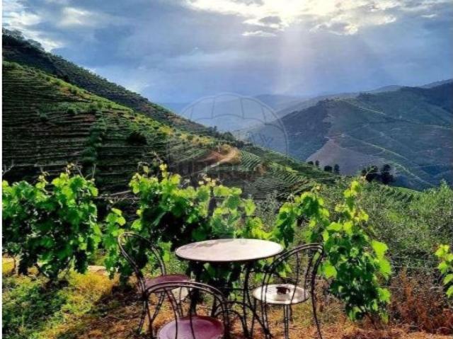 Quintas e casas rústicas T3 em Valença do Douro
