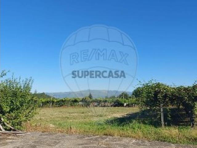 Quintas e casas rústicas T4 em Arnoia