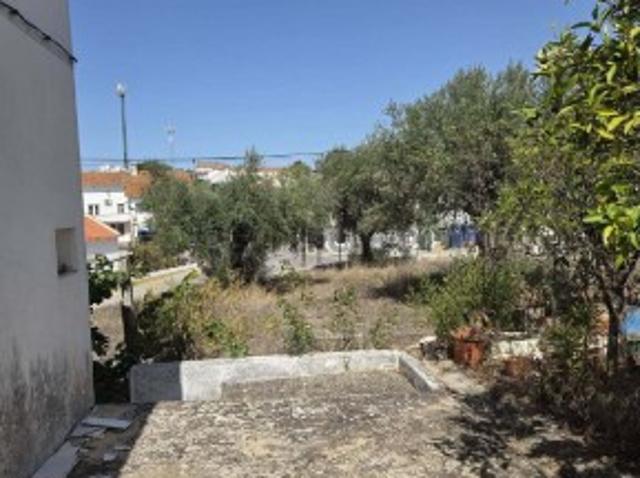 Quintas e casas rústicas T4 em Lavre