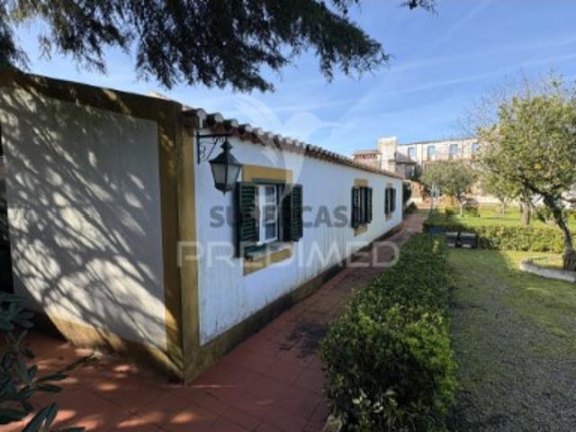 Quintas e casas rústicas T4 em Montalvo
