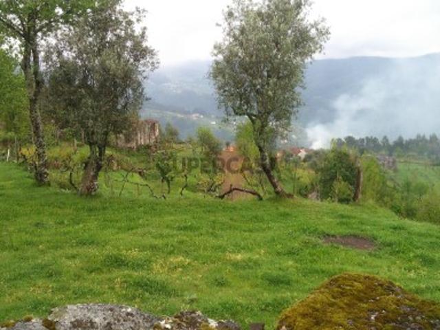 Quintas e casas rústicas T4 em Nespereira