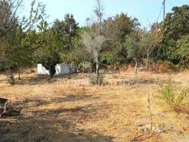 Quintas e casas rústicas T4 em Sé e São Lourenço