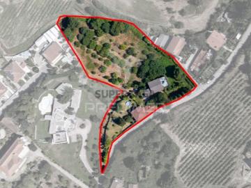 Quintas e casas rústicas T4 em Urgezes