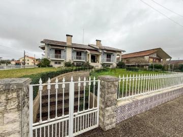 Rua Joaquim Pereira Júnior, Labrengos, Covões e Camarneira, Cantanhede, Distrito de Coimbra