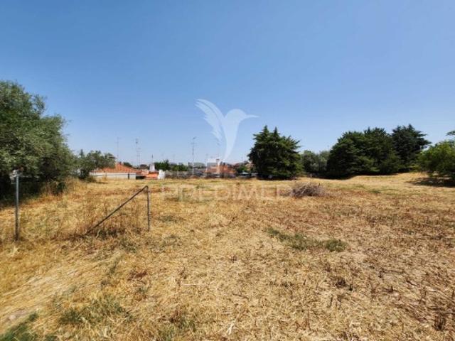 Quintas e casas rústicas T6 em Caia, São Pedro e Alcáçova