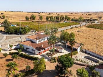Quintas e casas rústicas T6 em Campo e Campinho
