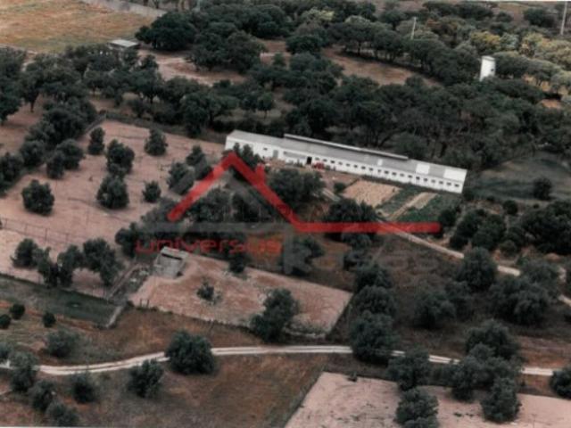Quintas e casas rústicas T7 em União das Freguesias de Setúbal