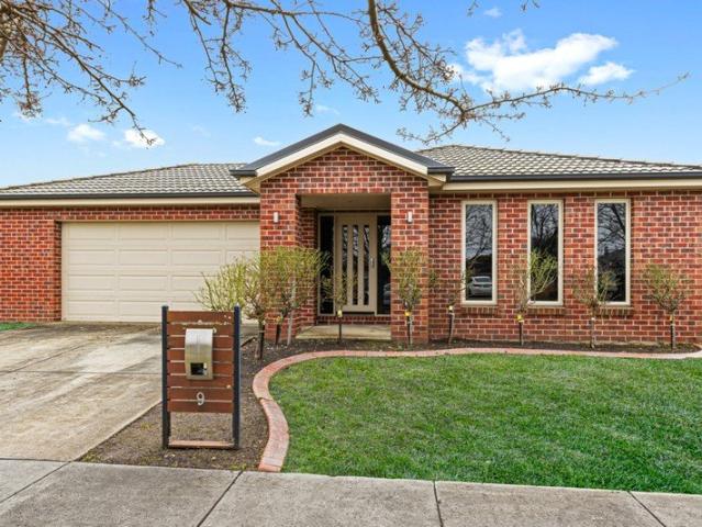 Quintessential Blue Chip Alfredton Entertainer
