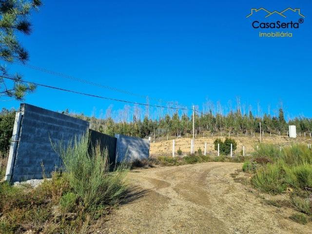 Quintinha