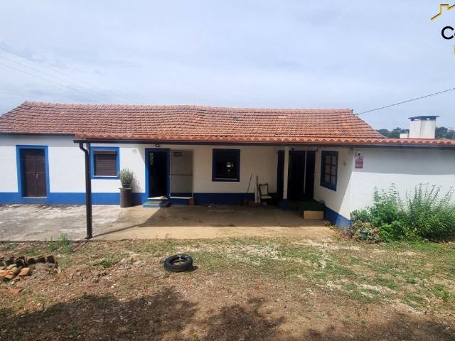 Quintinha