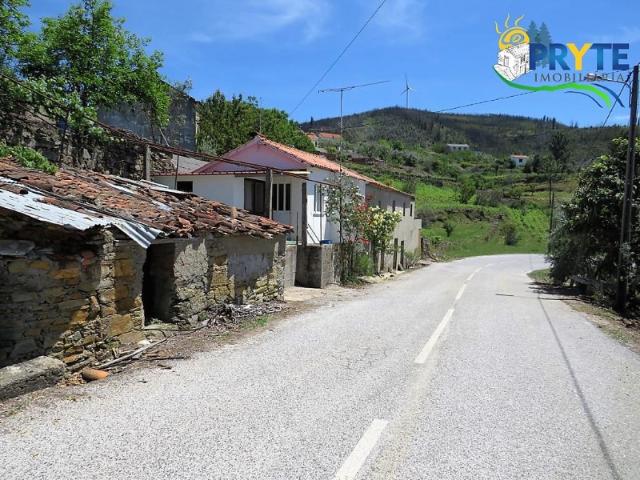 Quintinha