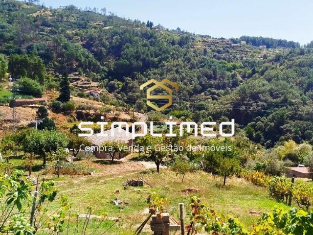 Quintinha 5.140 m2 com Armazém Registado – Covilhã, Serra da Estrela