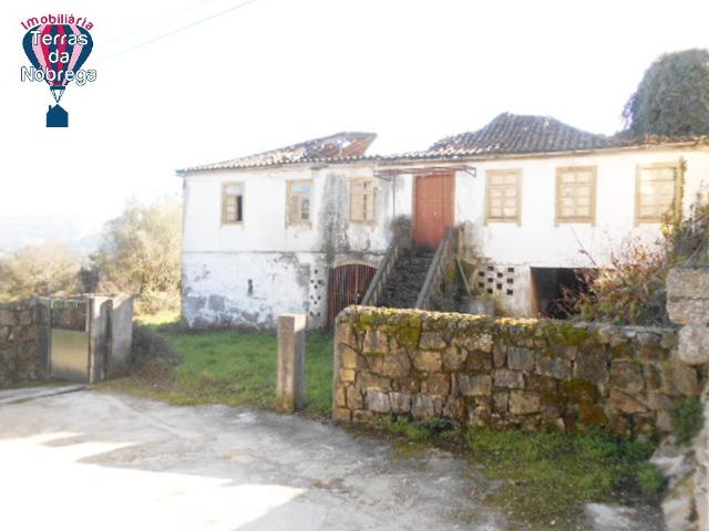 Quintinha