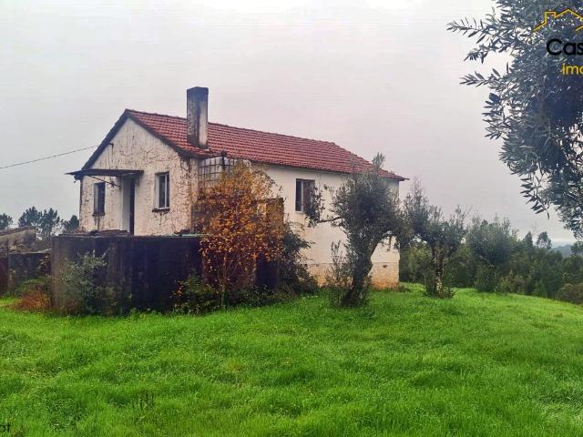 Quintinha