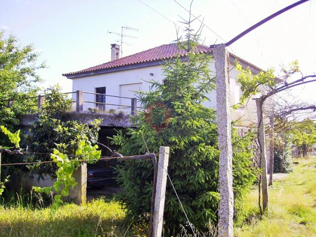 Quintinha