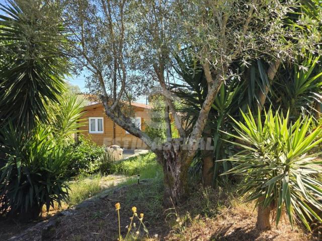 Quintinha c/ 1400m2 em Arcos Ponte de Lima