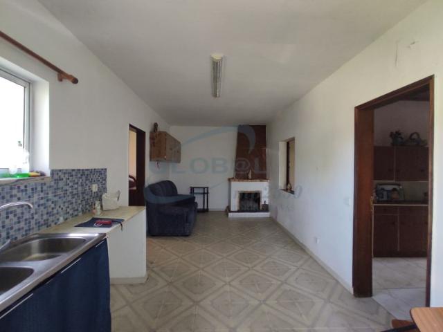 A Sua Quintinha de Sonho com 6.500 m² | Perto de Torres Novas, Golegã e Alcanena'